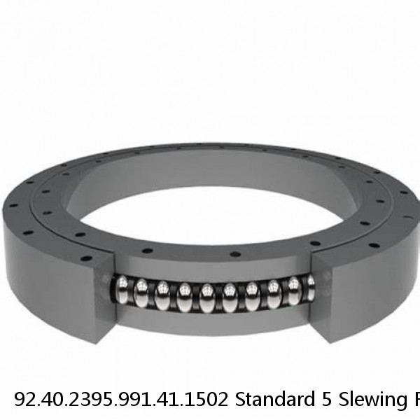 92.40.2395.991.41.1502 Standard 5 Slewing Ring Bearings