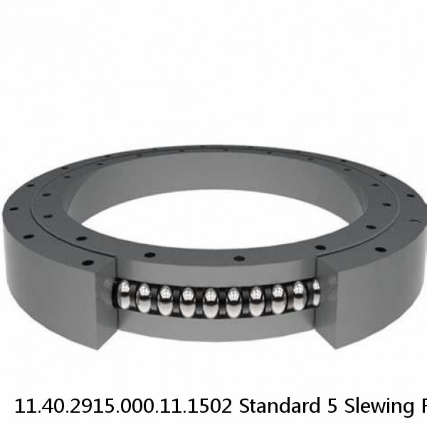 11.40.2915.000.11.1502 Standard 5 Slewing Ring Bearings