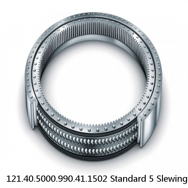 121.40.5000.990.41.1502 Standard 5 Slewing Ring Bearings