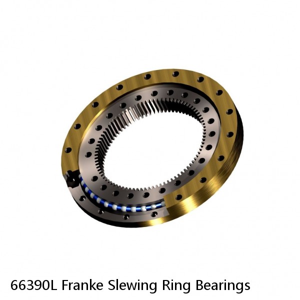 66390L Franke Slewing Ring Bearings