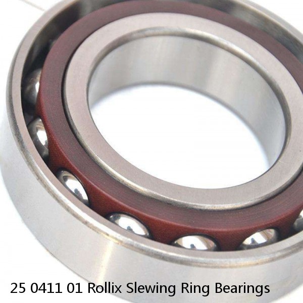 25 0411 01 Rollix Slewing Ring Bearings