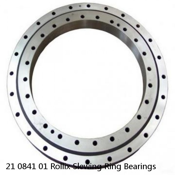 21 0841 01 Rollix Slewing Ring Bearings