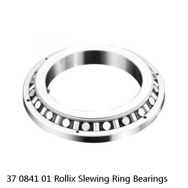 37 0841 01 Rollix Slewing Ring Bearings