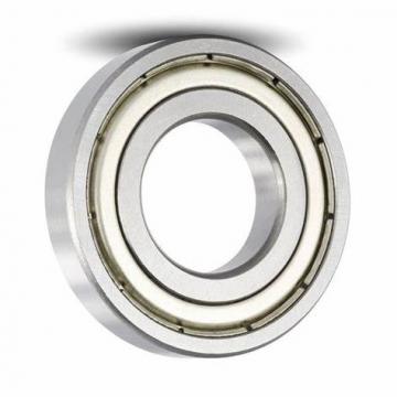 SKF/NSK/NTN/IKO/Timken/NACHI/Koyo Brand of 6001 6002 6003 6004 6201 6202 6203 6204 Zz 2RS C3 Bearings