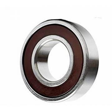 NTN SKF NACHI INA IKO Kg Double Rows Angular Contact Ball Bearing for Machine Parts (3200 2RS)