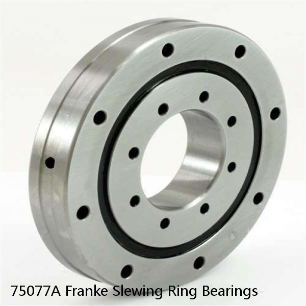 75077A Franke Slewing Ring Bearings