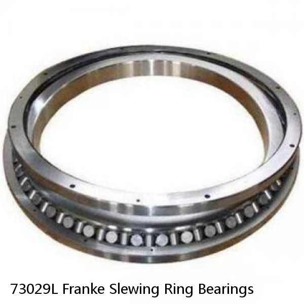 73029L Franke Slewing Ring Bearings