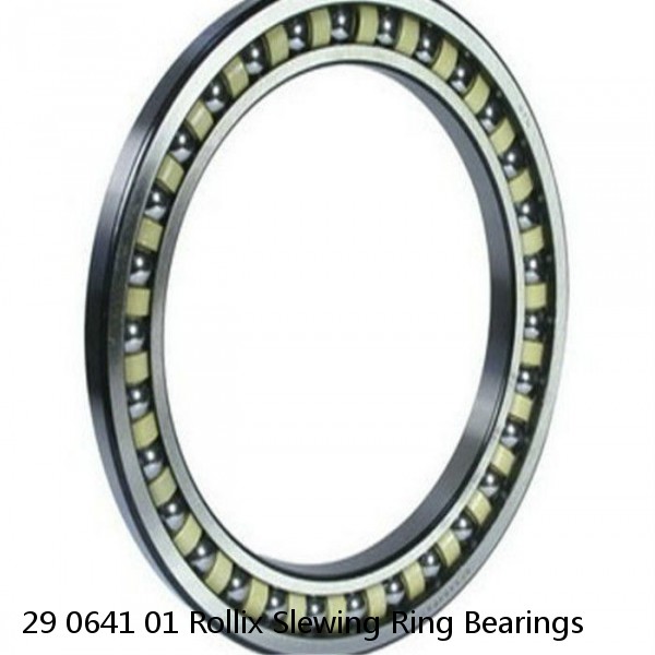 29 0641 01 Rollix Slewing Ring Bearings