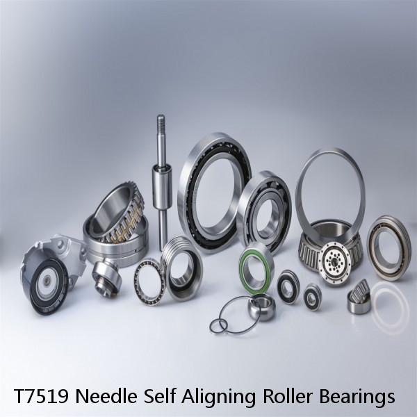 T7519 Needle Self Aligning Roller Bearings