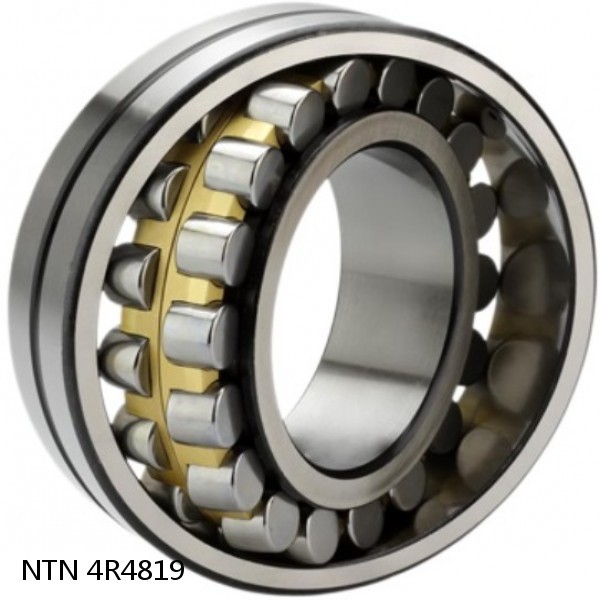 4R4819 NTN Cylindrical Roller Bearing