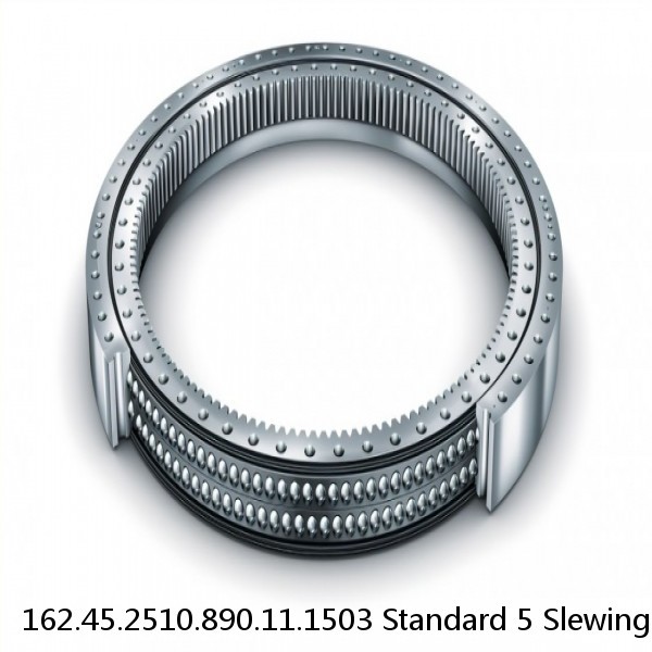 162.45.2510.890.11.1503 Standard 5 Slewing Ring Bearings