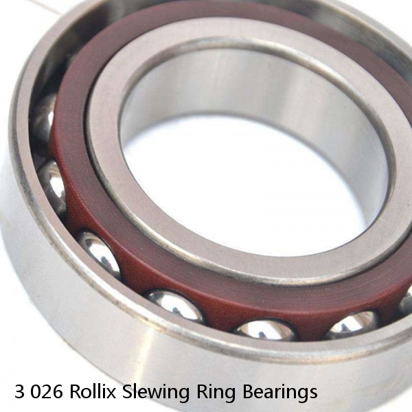 3 026 Rollix Slewing Ring Bearings