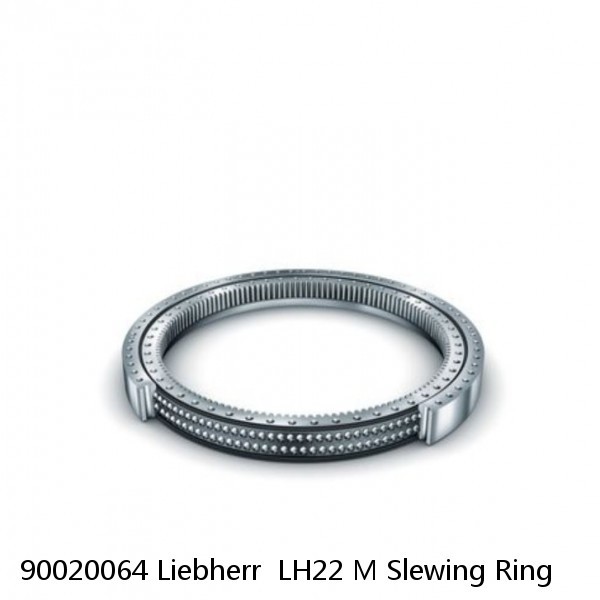 90020064 Liebherr  LH22 M Slewing Ring