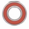 SKF NTN NACHI INA IKO Kg Double Rows Angular Contact Ball Bearing for Machine Parts (3200 2RS)