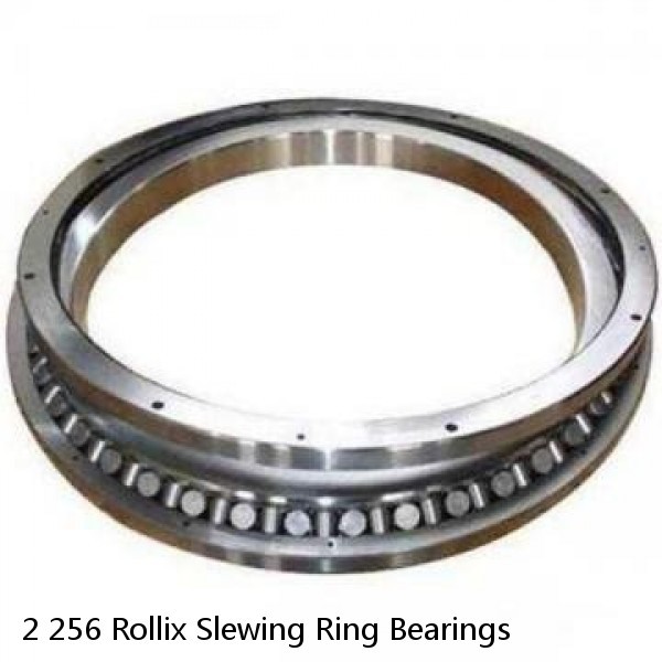 2 256 Rollix Slewing Ring Bearings