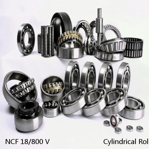 NCF 18/800 V                           Cylindrical Roller Bearings