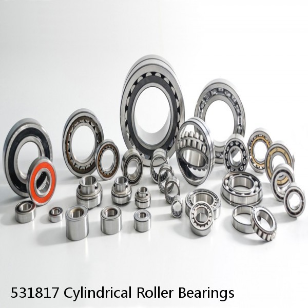 531817 Cylindrical Roller Bearings