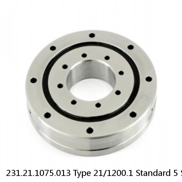 231.21.1075.013 Type 21/1200.1 Standard 5 Slewing Ring Bearings