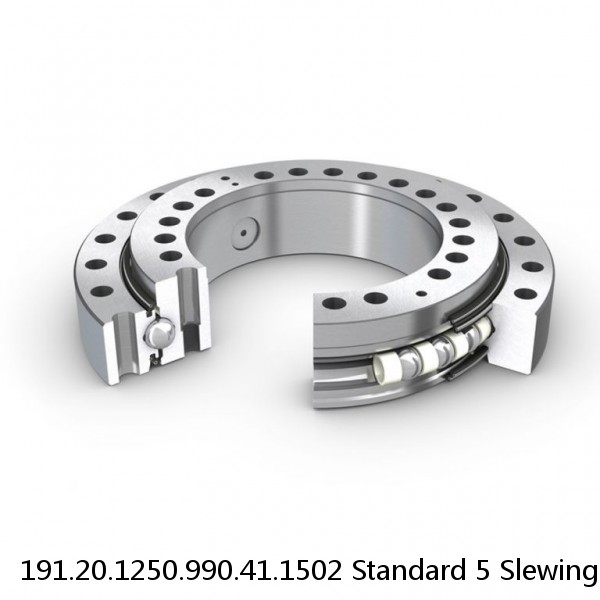 191.20.1250.990.41.1502 Standard 5 Slewing Ring Bearings