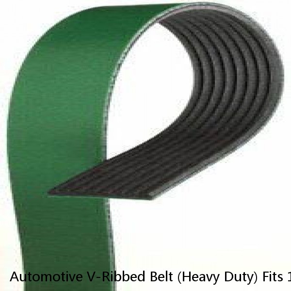 Automotive V-Ribbed Belt (Heavy Duty) Fits 1996-1989 Freightliner, FLD, Caterpil