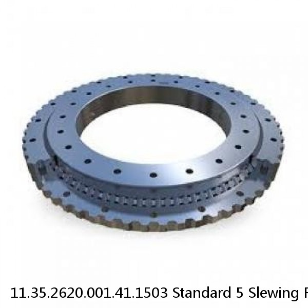 11.35.2620.001.41.1503 Standard 5 Slewing Ring Bearings #1 image