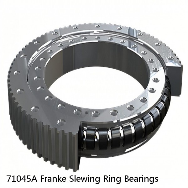 71045A Franke Slewing Ring Bearings #1 image