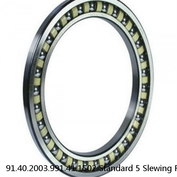 91.40.2003.991.41.1502 Standard 5 Slewing Ring Bearings #1 image