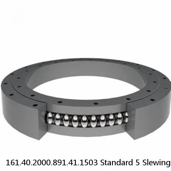 161.40.2000.891.41.1503 Standard 5 Slewing Ring Bearings #1 image