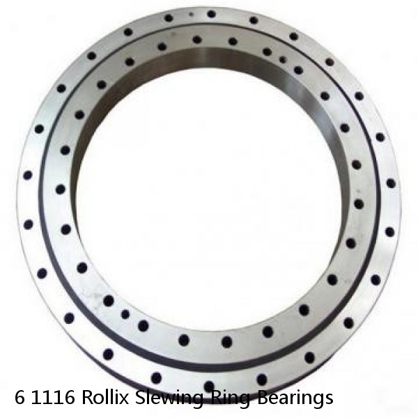 6 1116 Rollix Slewing Ring Bearings #1 image