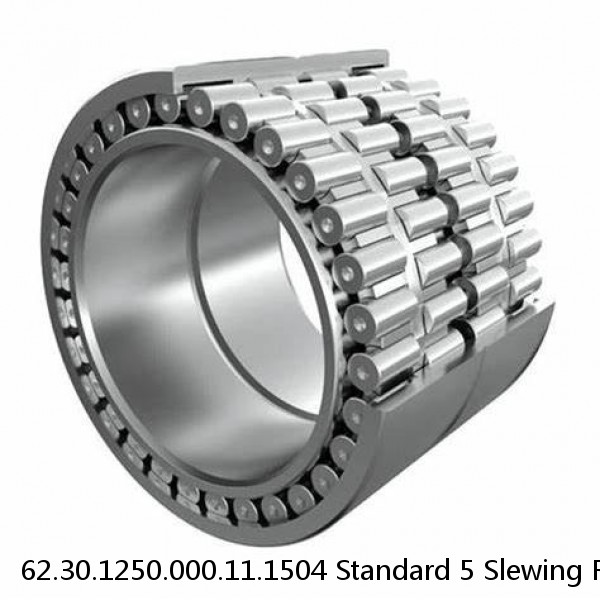 62.30.1250.000.11.1504 Standard 5 Slewing Ring Bearings #1 image