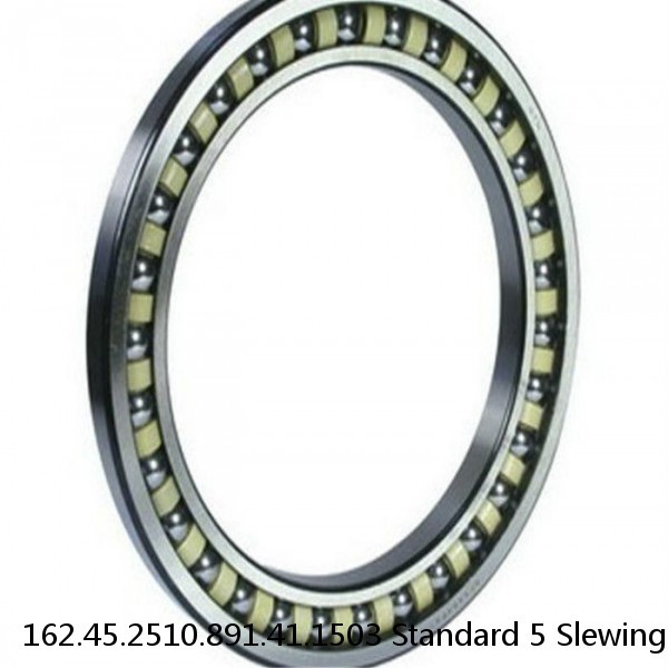 162.45.2510.891.41.1503 Standard 5 Slewing Ring Bearings #1 image