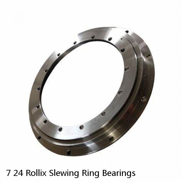 7 24 Rollix Slewing Ring Bearings #1 image