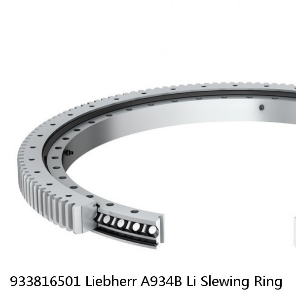 933816501 Liebherr A934B Li Slewing Ring #1 image