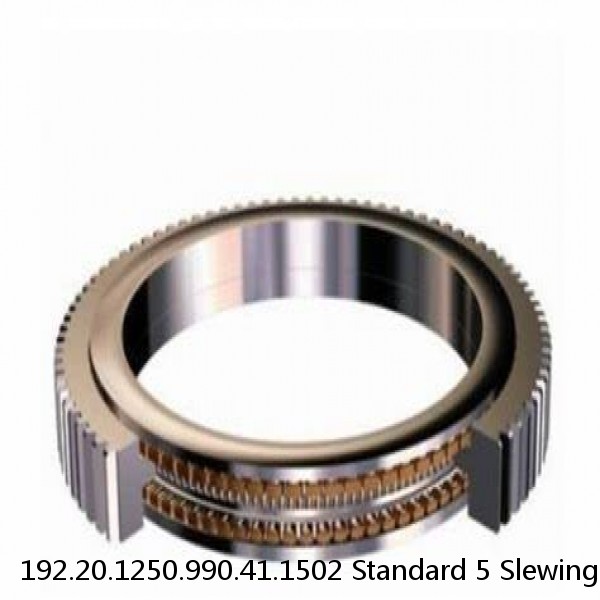 192.20.1250.990.41.1502 Standard 5 Slewing Ring Bearings #1 image