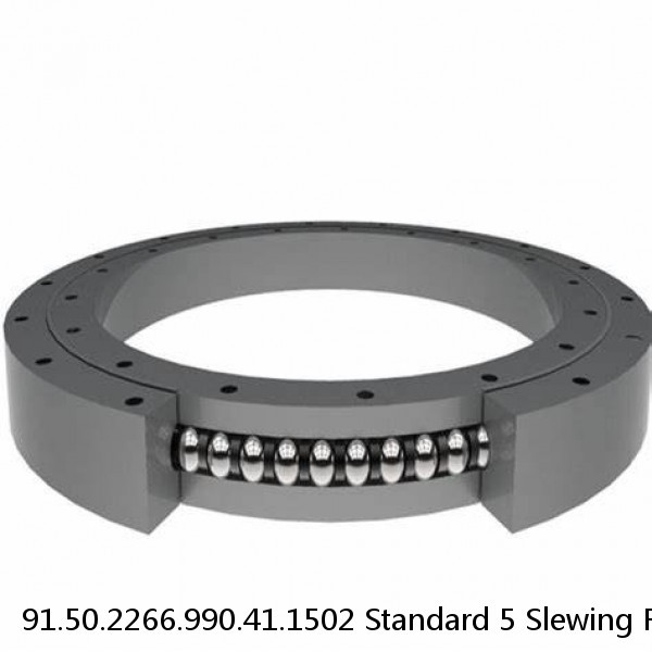 91.50.2266.990.41.1502 Standard 5 Slewing Ring Bearings #1 image