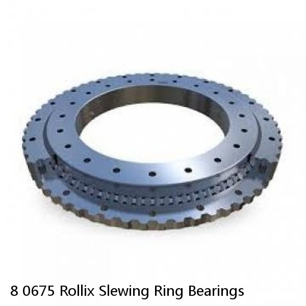 8 0675 Rollix Slewing Ring Bearings #1 image