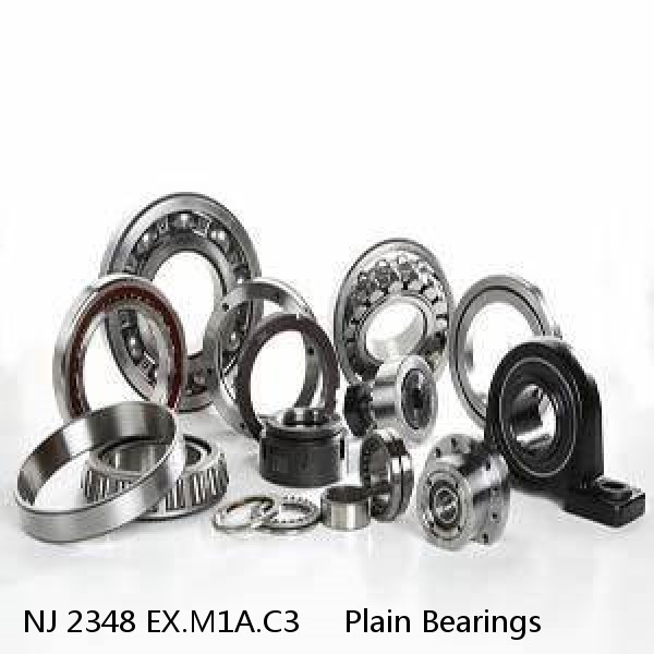 NJ 2348 EX.M1A.C3     Plain Bearings #1 image