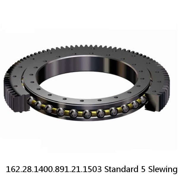 162.28.1400.891.21.1503 Standard 5 Slewing Ring Bearings #1 image