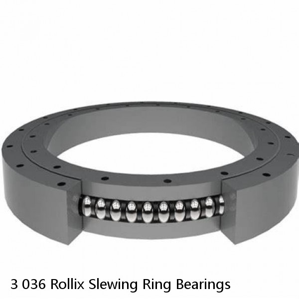 3 036 Rollix Slewing Ring Bearings #1 image