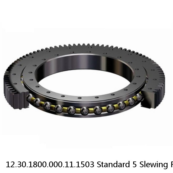 12.30.1800.000.11.1503 Standard 5 Slewing Ring Bearings #1 image