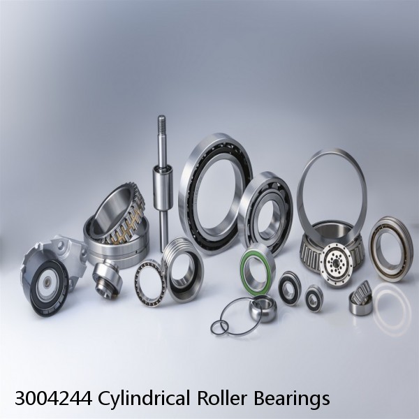 3004244 Cylindrical Roller Bearings #1 image