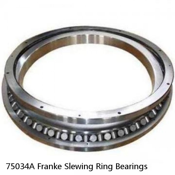 75034A Franke Slewing Ring Bearings #1 image