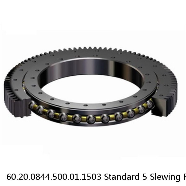 60.20.0844.500.01.1503 Standard 5 Slewing Ring Bearings #1 image