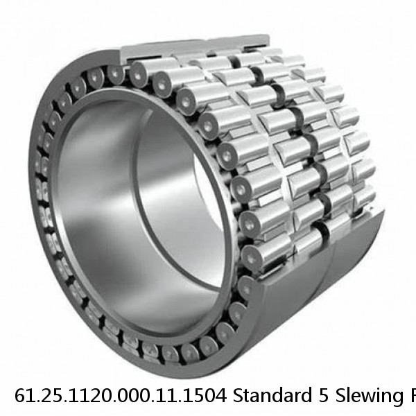 61.25.1120.000.11.1504 Standard 5 Slewing Ring Bearings #1 image