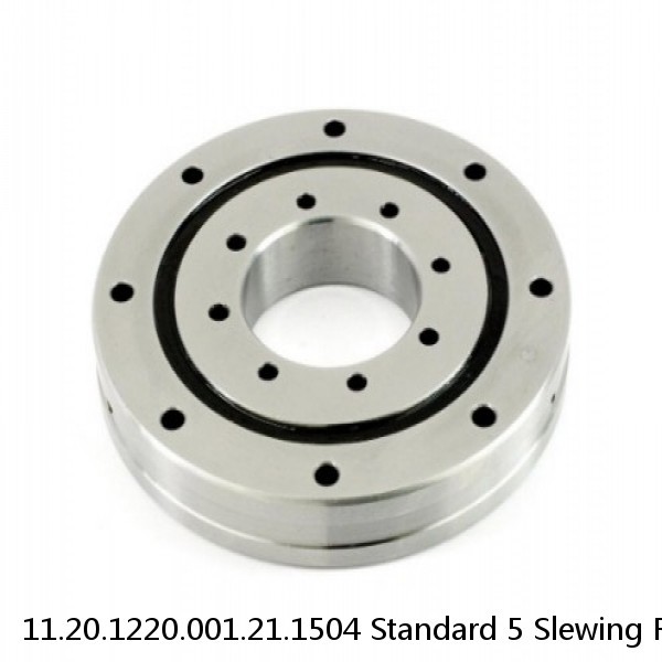 11.20.1220.001.21.1504 Standard 5 Slewing Ring Bearings #1 image