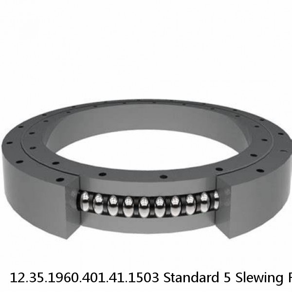 12.35.1960.401.41.1503 Standard 5 Slewing Ring Bearings #1 image