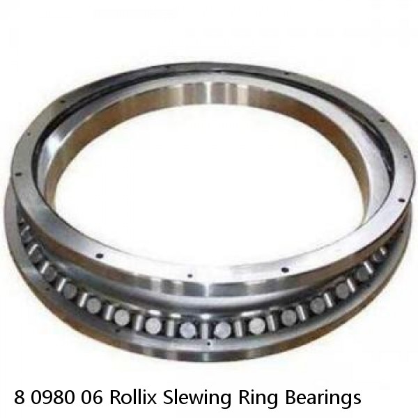 8 0980 06 Rollix Slewing Ring Bearings #1 image