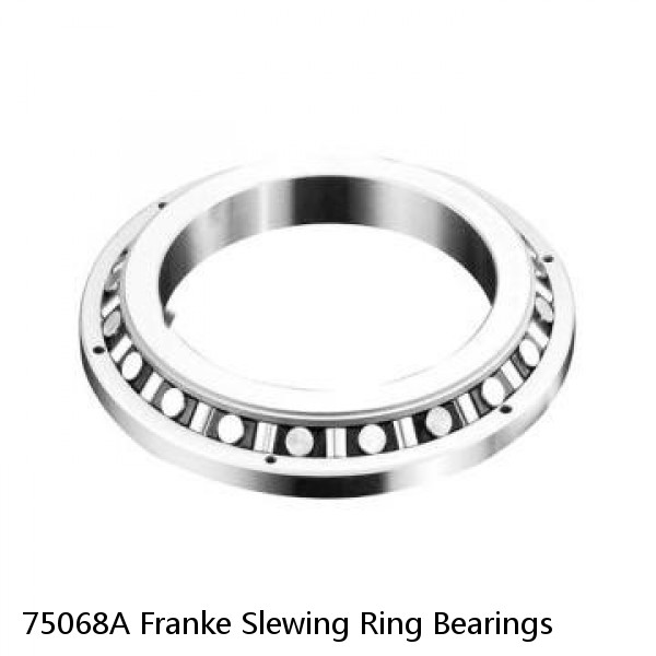 75068A Franke Slewing Ring Bearings #1 image